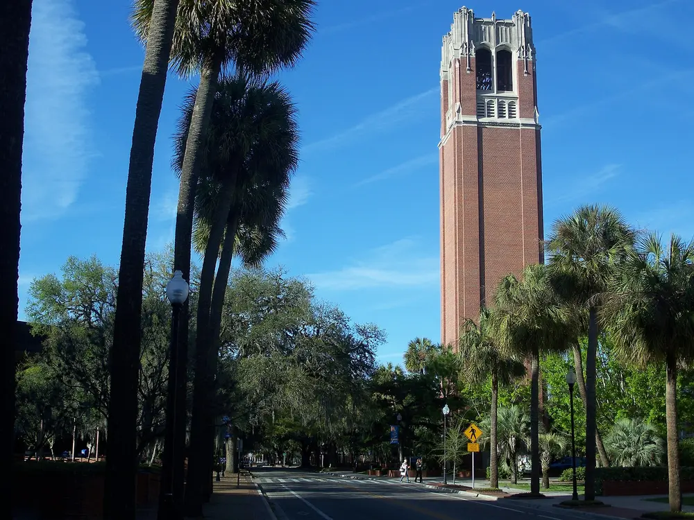Century Tower, the iconic collegiate-gothic red-brick bell tower on the University of Florida campus in Gainesville, FL, with a palm-lined avenue and clear blue sky.