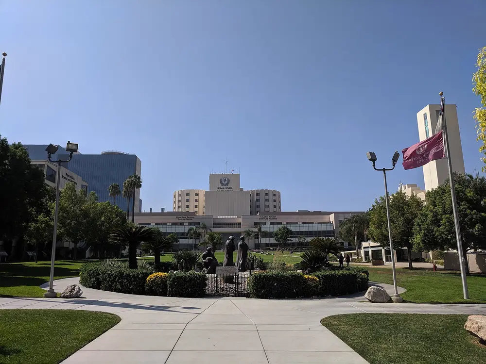 Daytime landscape panorama of the Loma Linda University Health campus in Loma Linda, CA — the School of Dentistry (Prince Hall) on the left, Coleman Pavilion School of Medicine, Cancer Center, and the iconic LLU Medical Center tower, with green lawn and clear blue sky.