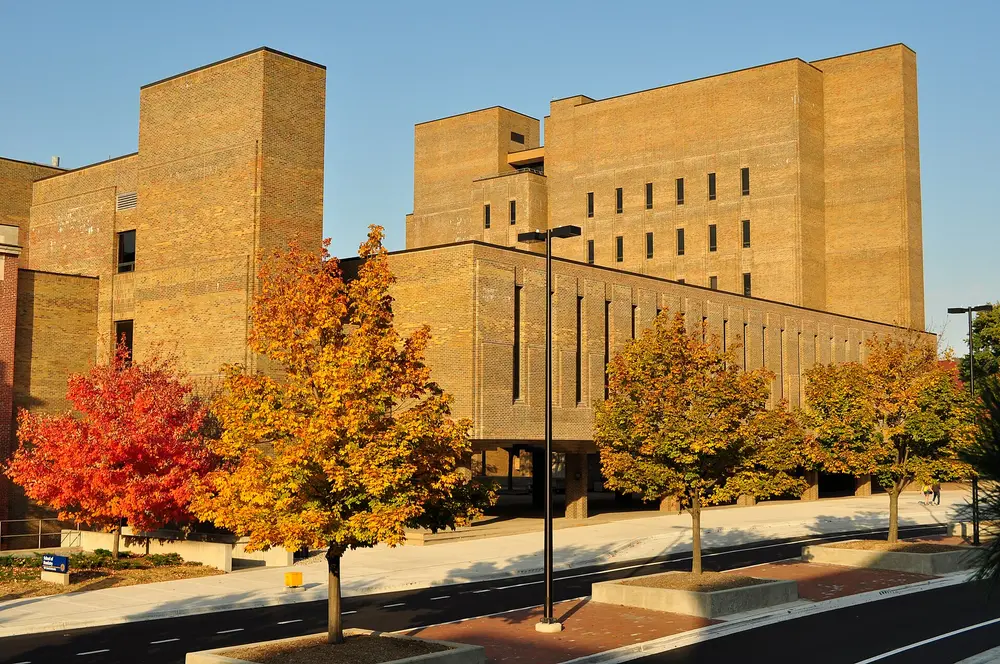 Exterior of the University of Michigan School of Dentistry building on North University Avenue, Ann Arbor, MI, in warm autumn golden-hour light with fall-colored trees and a clear blue sky.