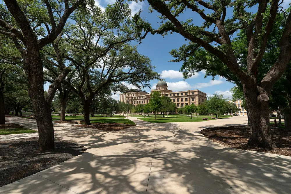 The iconic green-domed Academic Building at Texas A&M University (College Station), framed by mature live oaks under a bright blue sky with a clean paved walkway.