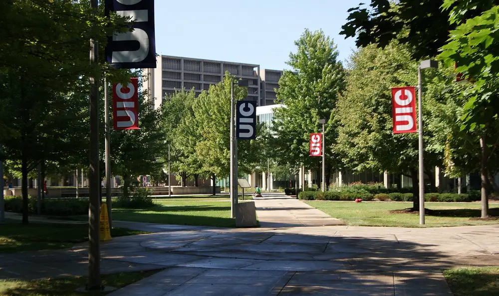 Daytime summer view of the University of Illinois Chicago (UIC) campus: a tree-lined walkway flanked by UIC banners with the iconic Brutalist University Hall tower in the background; UIC is the host university of the UIC College of Dentistry.